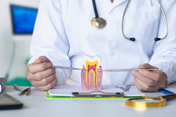 Best Emergency Dental Care for Broken or Chipped Teeth in Millen, GA